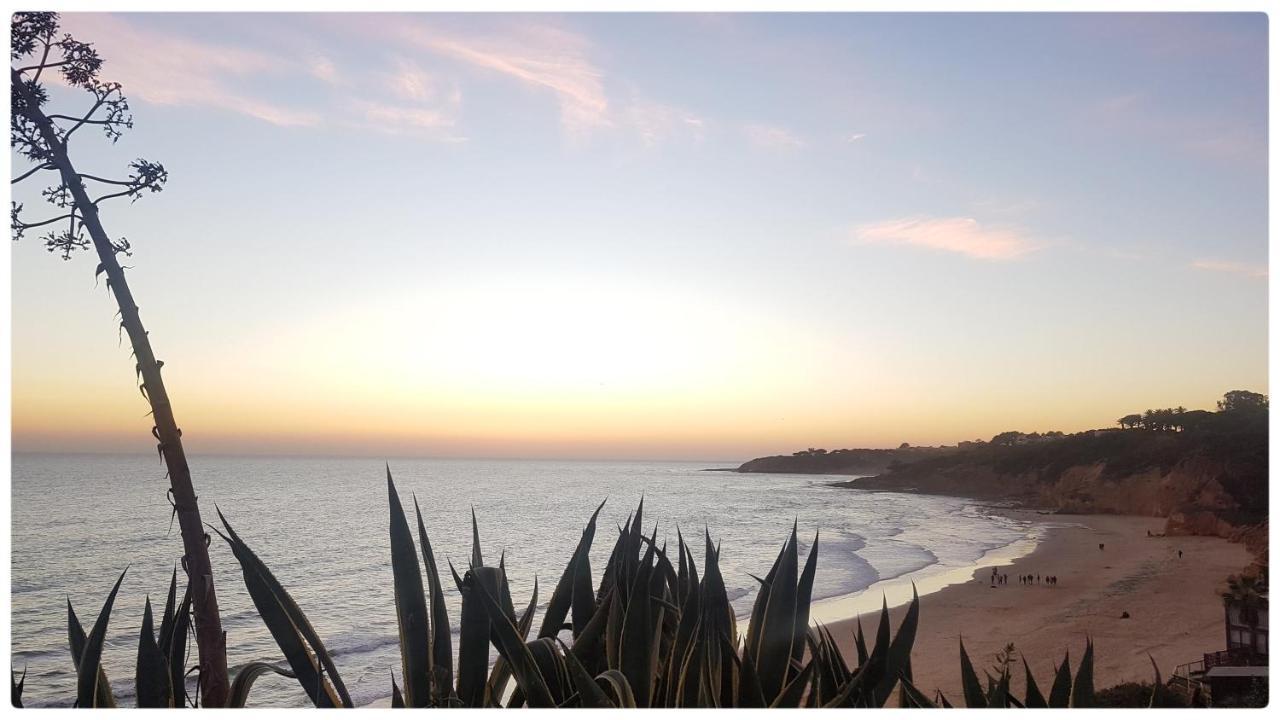 Sunset Villa By Laranjal Rentals Olhos de Agua  Exterior photo